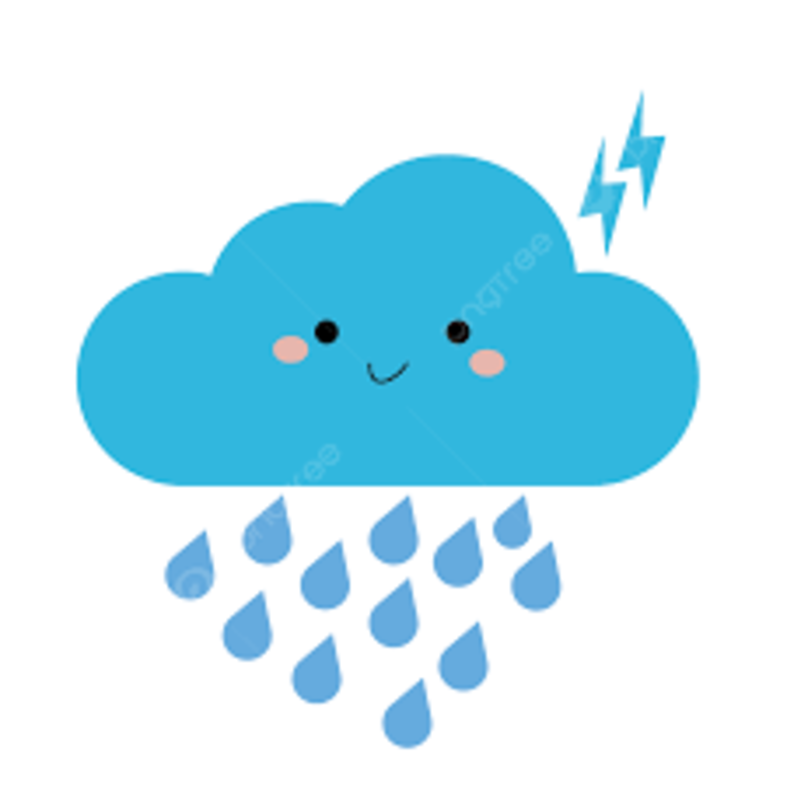 What word matches this picture?