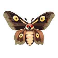 moth