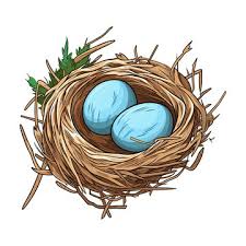 nest