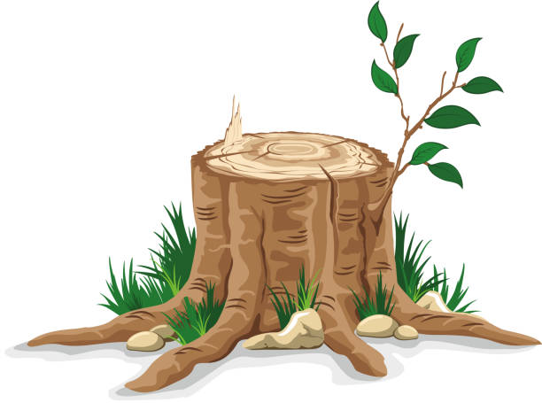 stump