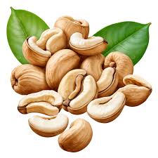 Cashew
