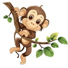 monkey