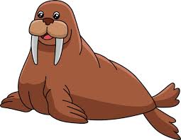 Walrus