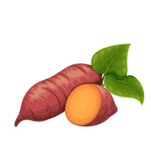 yam